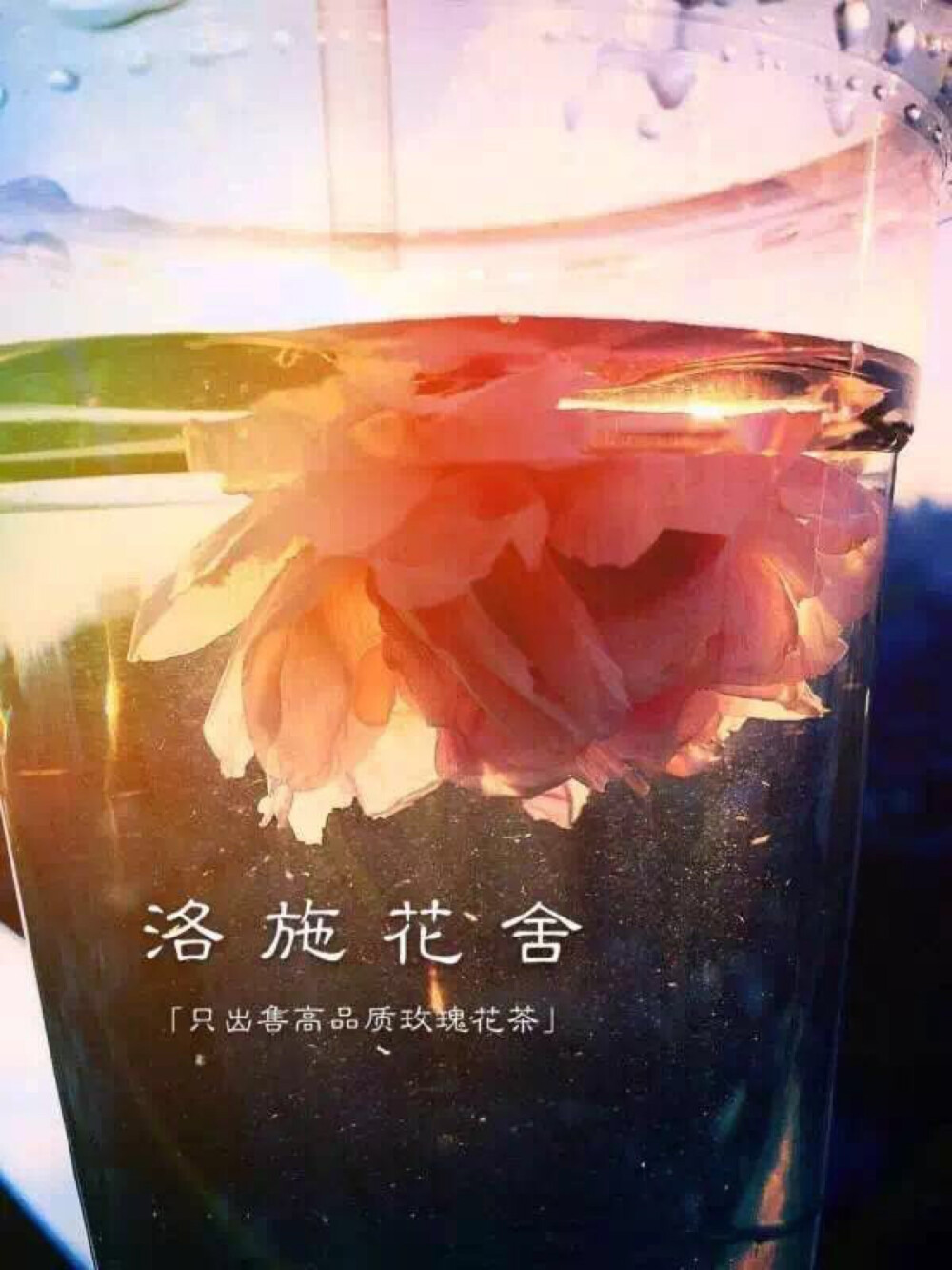 洛施花舍～水中花