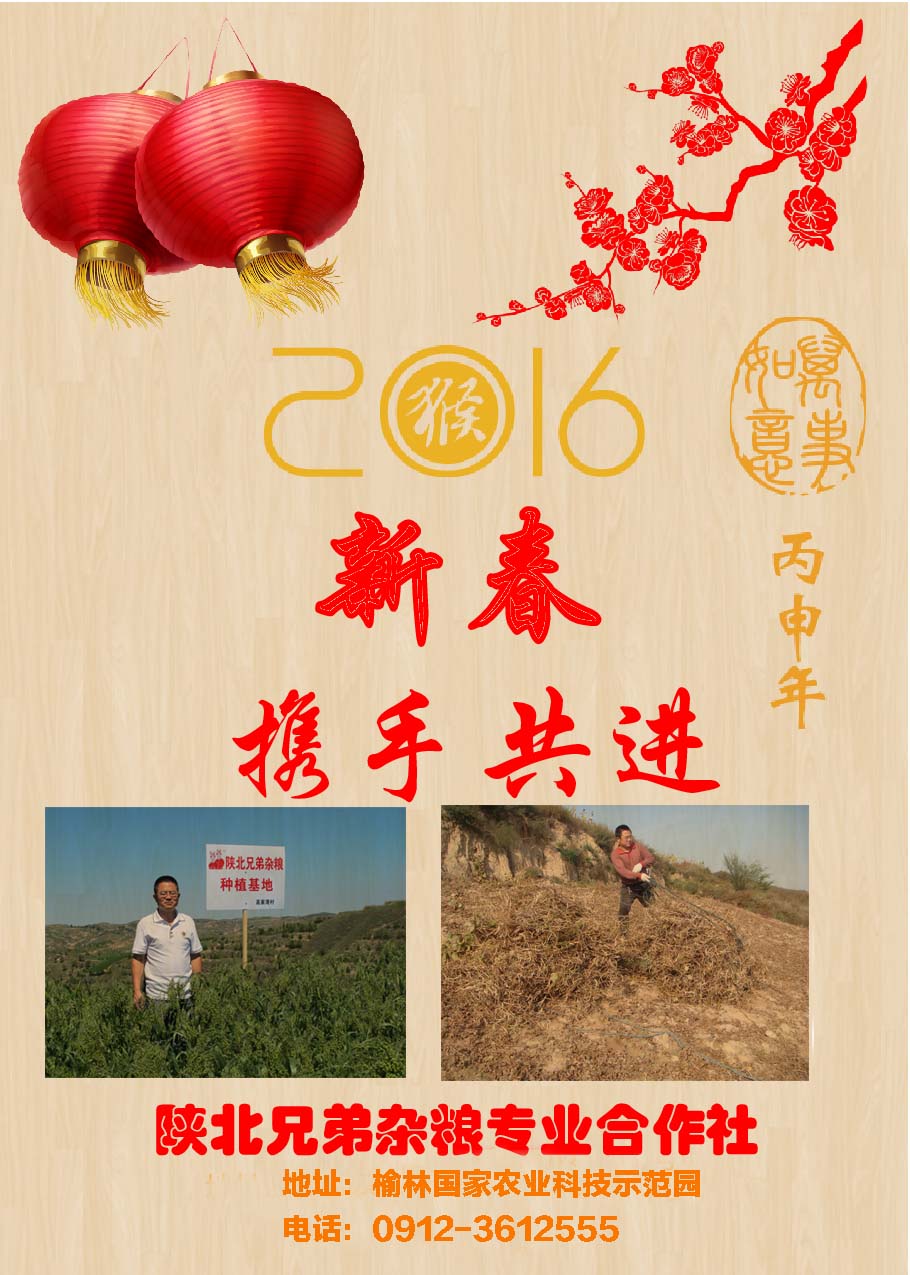 陕北兄弟2016猴年大吉，来自黄土高坡的祝福