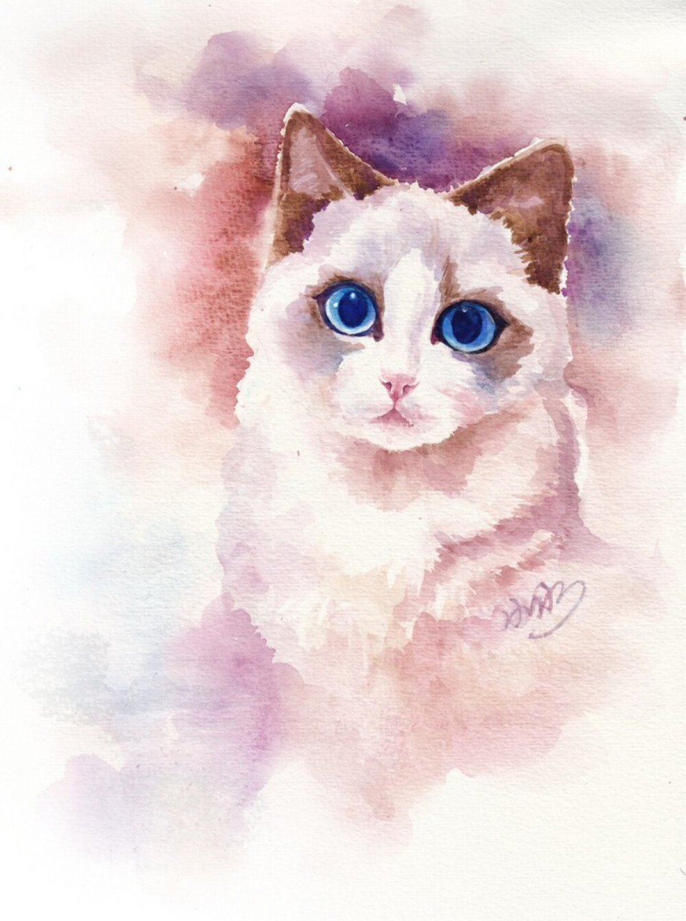 眼睛超美的猫咪手绘插画作品。 你 有朋友 有亲人 有学业 有娱乐 而它只有你 ——by悠利宠物店