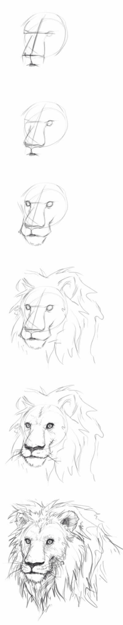 这个特棒，画狮子的，而且还不难。画动物什么的教程都挺稀少的，喜欢的收着吧～ 跟着一起画肯定会画的很好。