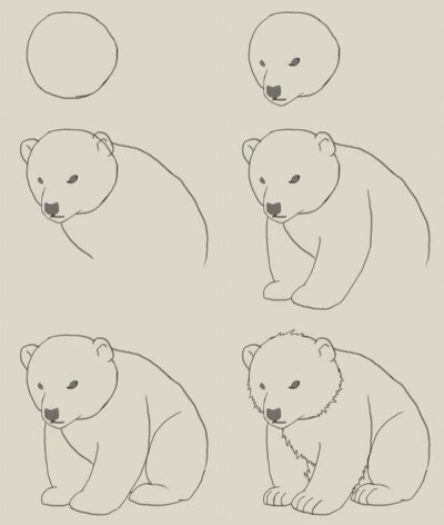 简笔画，这是和北极熊吗2333 反正是个熊，然后挺呆萌呆萌的。喜欢的看看吧！