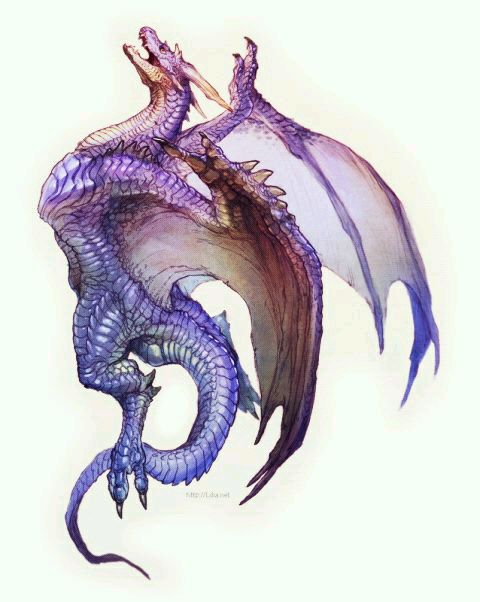 dragon