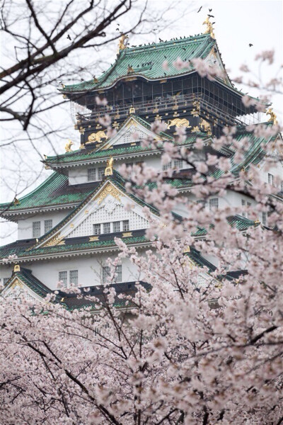 此情此景.繁花