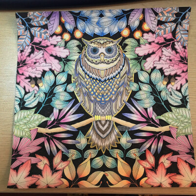 秘密花园——猫头鹰，完成于2015.12.29