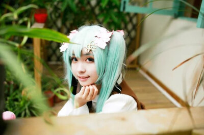 【Cosplay】樱初音