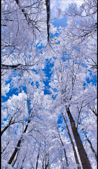 雪就像我的心情，把我的快乐、忧伤、难过。全部都带走，直至我的脸上一点表情都没有。雪从天空中飘落下来，可是雪总有一天会融化，到那个时候我的心情也会从此淡化而去。。。