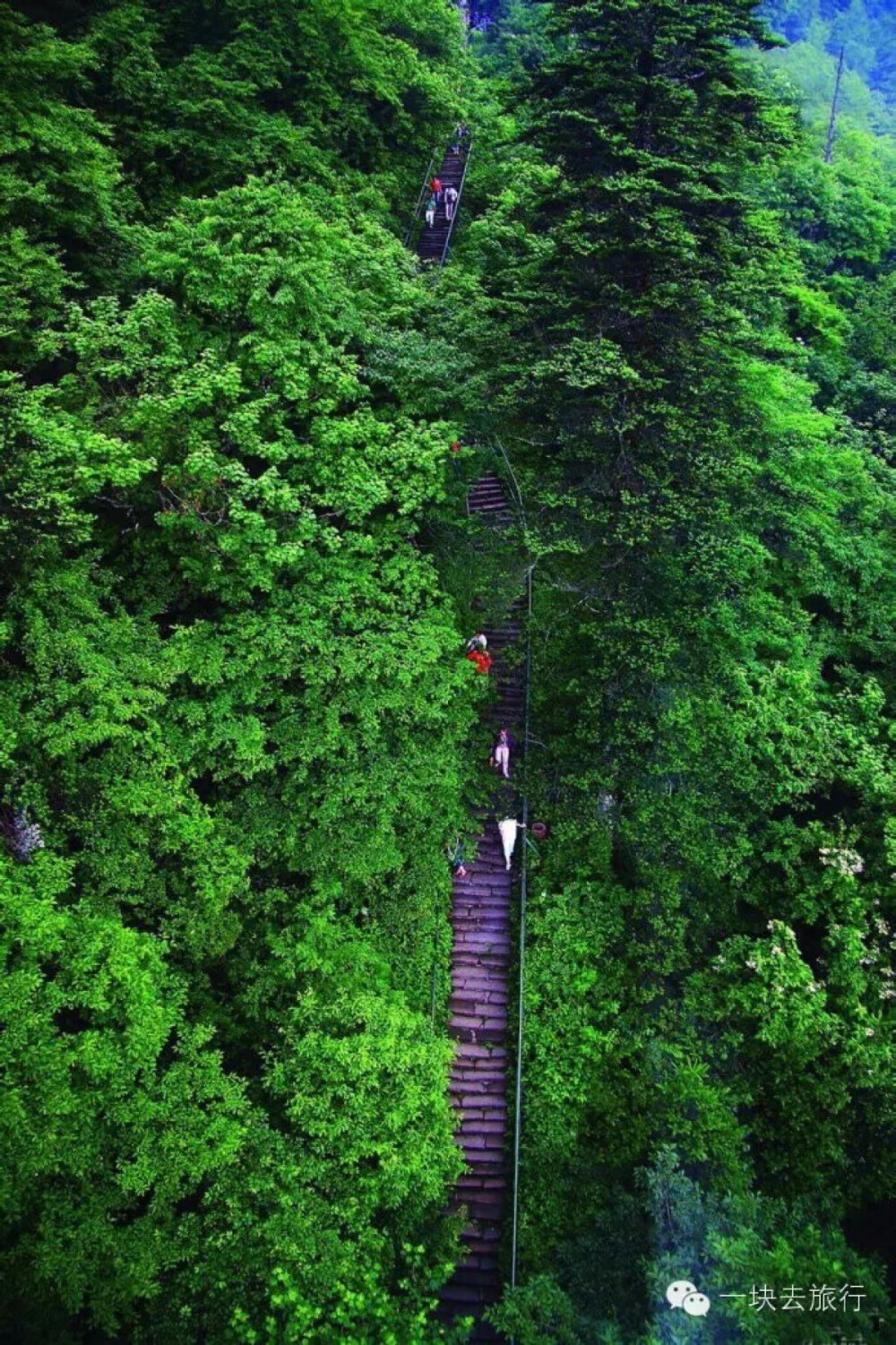 三四月不去这些地方，就辜负春天了!——四川峨眉山