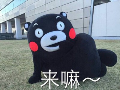 来嘛