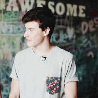 shawn mendes