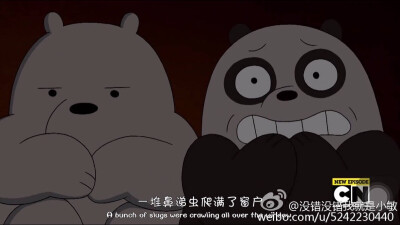 We bare bears