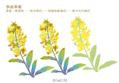 #绘画学习# 画师MOIY教你设计绘制花海！