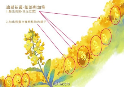 #绘画学习# 画师MOIY教你设计绘制花海！