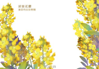 #绘画学习# 画师MOIY教你设计绘制花海！