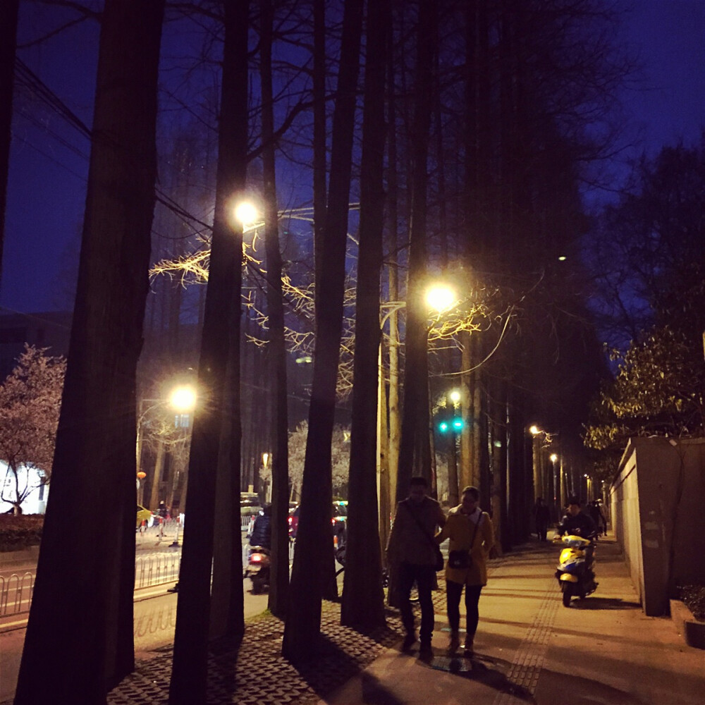 夜晚的路灯