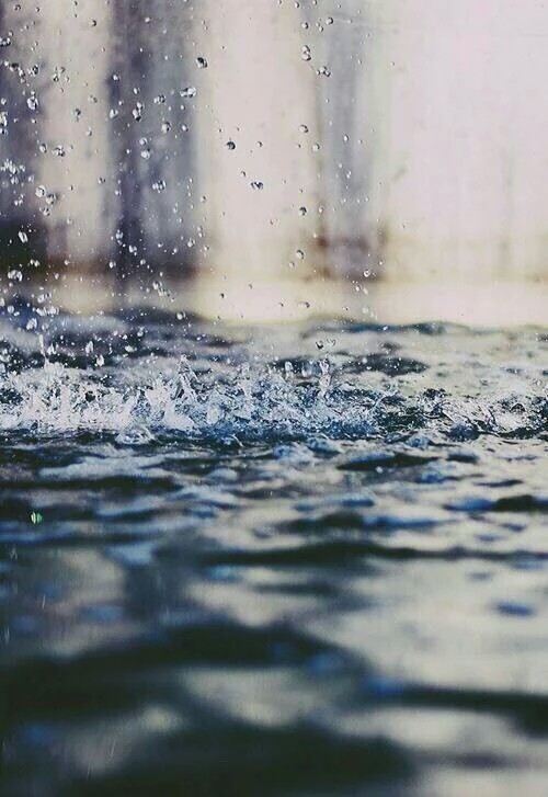 雨水