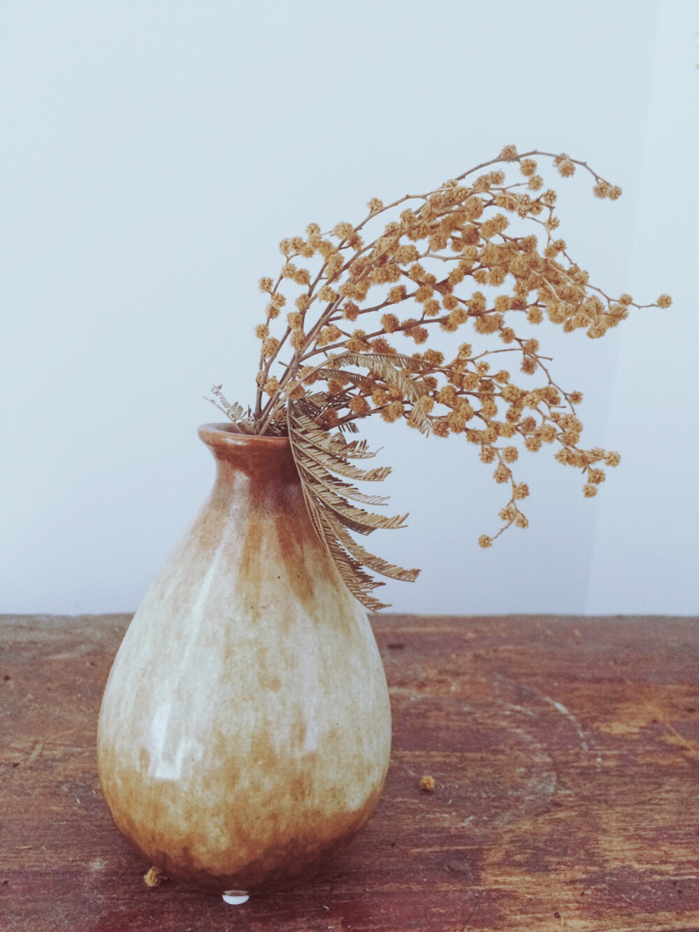 与花有关复古文艺风干花