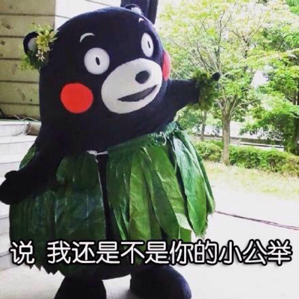 说 我还是不是你的小公举kumanon熊本熊表情包