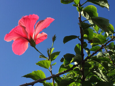 面朝大海，春暖花开