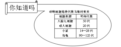 细胞培养