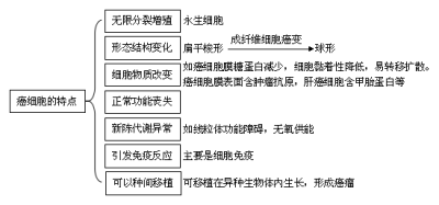 癌细胞特点