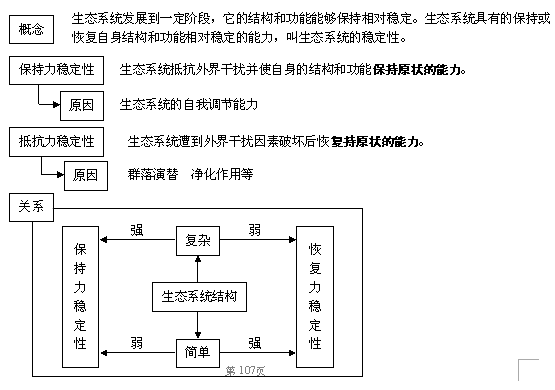 生态系统