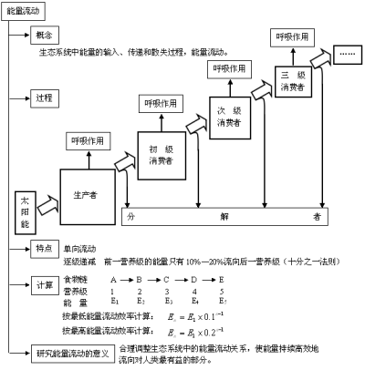 能量流动