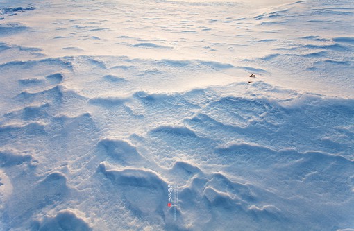 一组来自poco摄影师Eric.Peng的北国冬季雪景风光摄影作品，纯净的画面让人仿佛置身其中，心旷神怡。