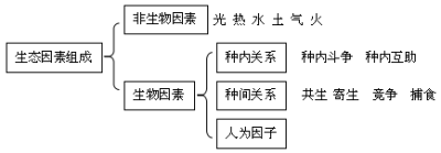 生态因数组成