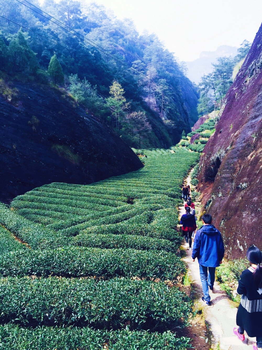 生命由薄变厚，由厚变薄，如烟的岁月里，懂茶人与茶嫣然成为知己，默然静守，寂然喜欢。