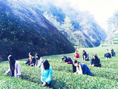 生命由薄变厚，由厚变薄，如烟的岁月里，懂茶人与茶嫣然成为知己，默然静守，寂然喜欢。