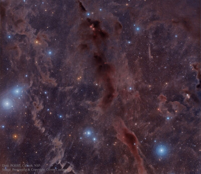 每日一天文图，金牛座的暗星云，位于昴宿星团和加利福尼亚星云之间，由数字化巡天(POSS-II)拍摄。