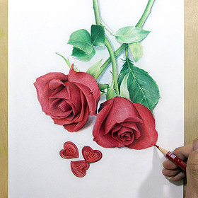 葱二—纸上彩铅—植物篇