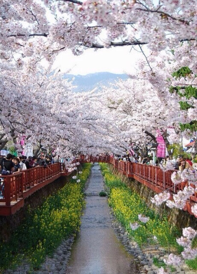 此情此景.繁花