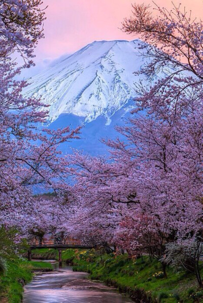 此情此景.繁花