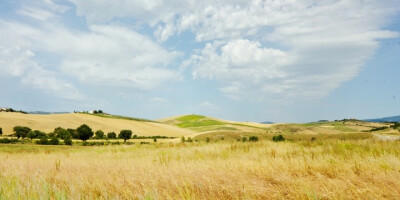 蒙塔尔奇诺 Montalcino
意大利托斯卡纳大区锡耶纳省的一个小城，距锡耶纳42公里，以美丽的风景和蒙塔尔奇诺的布鲁奈罗葡萄酒闻名，布鲁奈罗在当地方言中意为“黑色美酒”。