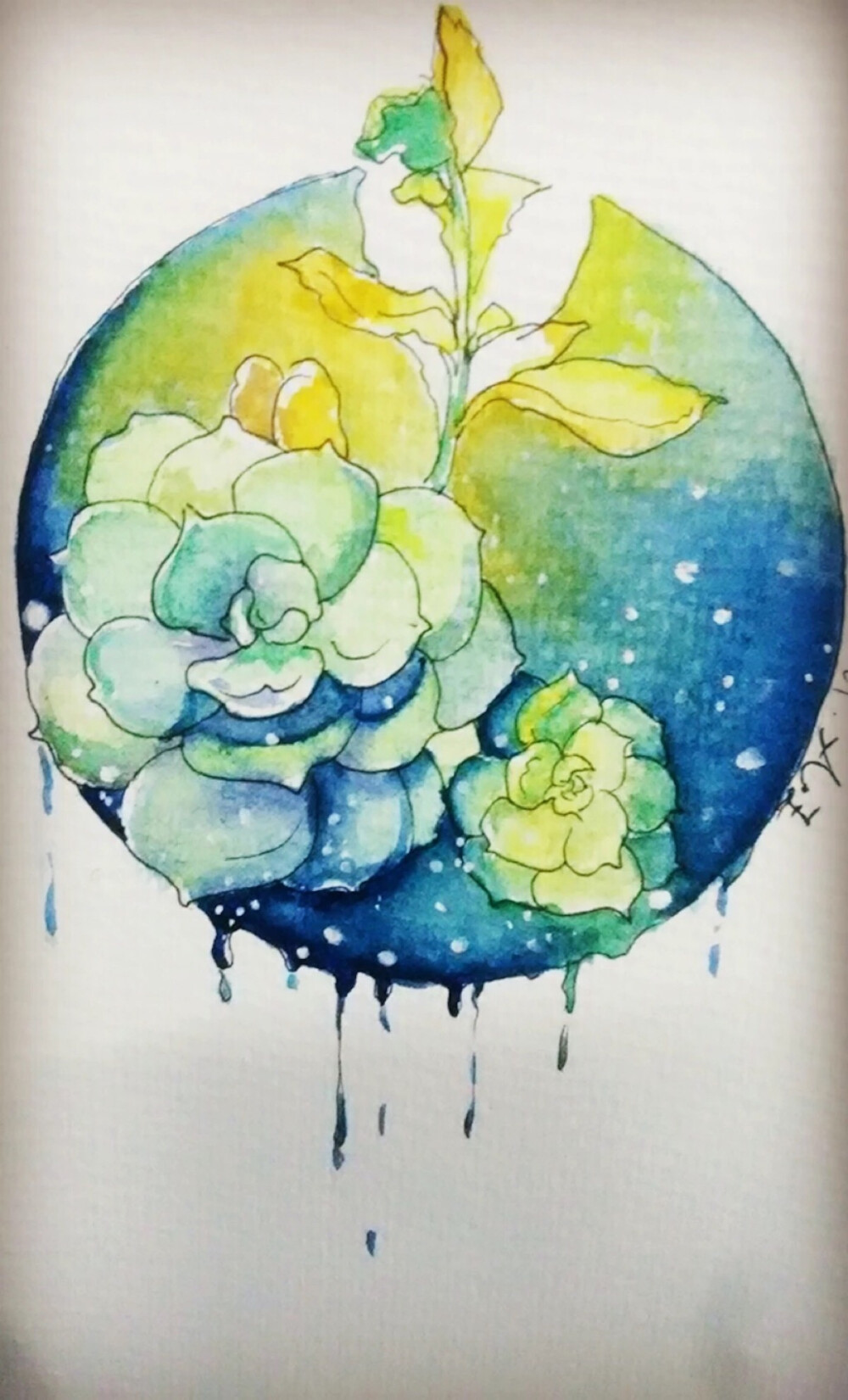 多肉植物•水彩