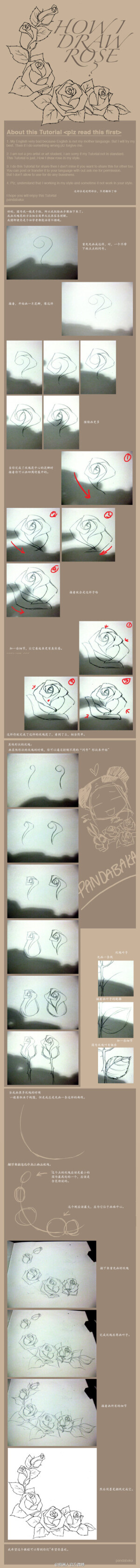 默认专辑- 堆糖