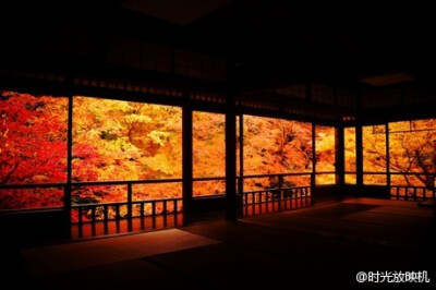 日本京都莲花寺·琉璃光院的红叶。