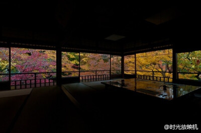 日本京都莲花寺·琉璃光院的红叶。