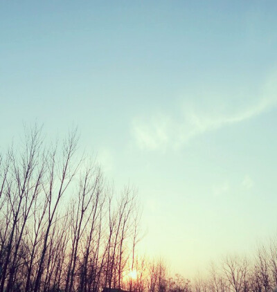 仰望天空，如果可以自由自在的生活，那该是一件多么幸福的事