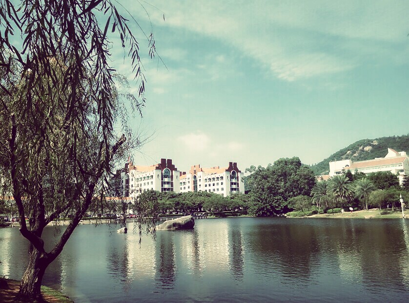 厦门大学