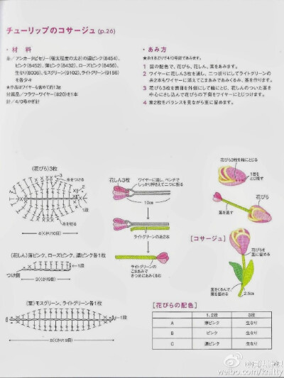 郁金香图解分享