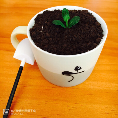 盆栽奶茶