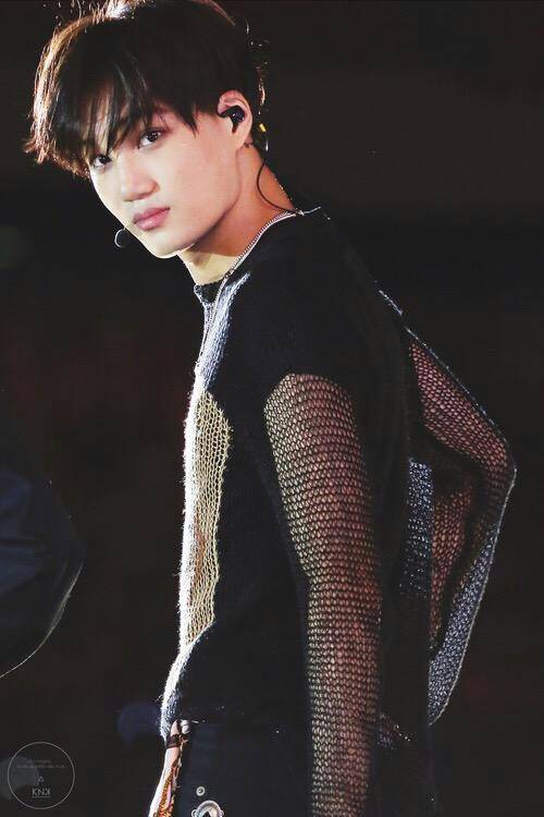 EXO KAI 金钟仁