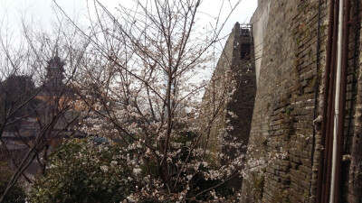 鸡鸣寺