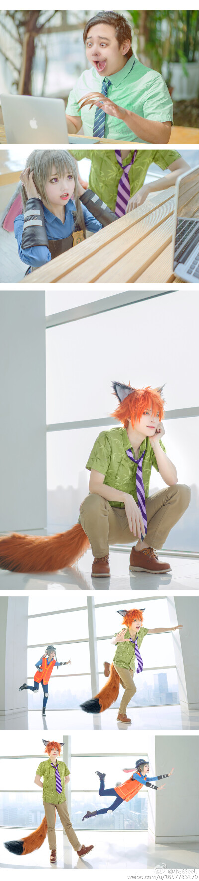 疯狂动物城拟人cos【狐狸Nick：@W小小白W】【兔子Judy：小柔 】树獭