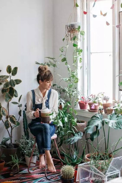 光有大神级绿植还不够，你需要拥有一个个植物角，甚至一座森林！