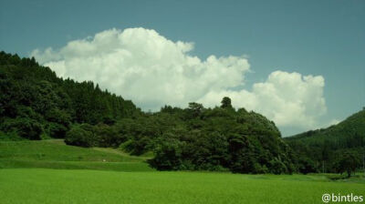 电影《小森林》