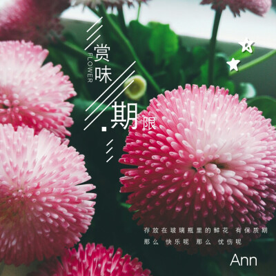 教室里的小小盆栽