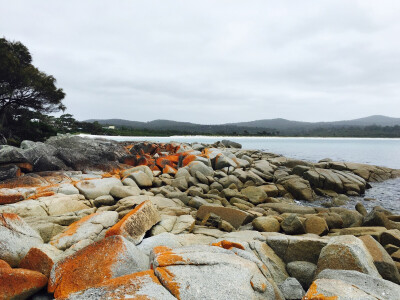 Bay of Fire Tasmania